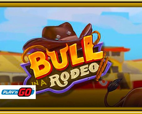 bull-in-a-rodeo